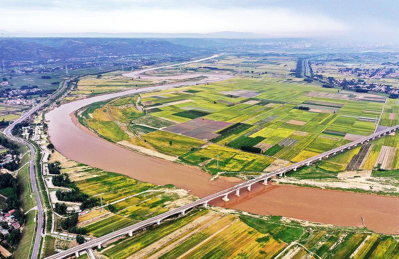 一线传真 关中平原田园美_农网视角_陕西农村网