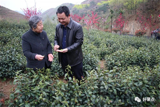 陕西农林卫视致富经_央视农业节目致富经_农林卫视致富经