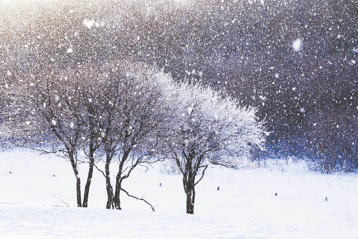 雪花