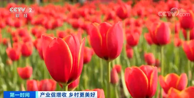 农业农村部:打造乡村旅游精品工程 建设乡村产业集聚区