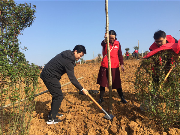 早上8点半,城关镇党委书记沈纪兵便带领镇干部带着铁锹,水桶等工具,赶