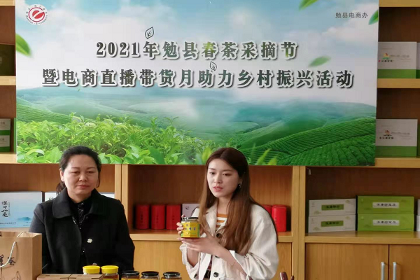 春茶采摘节3.png