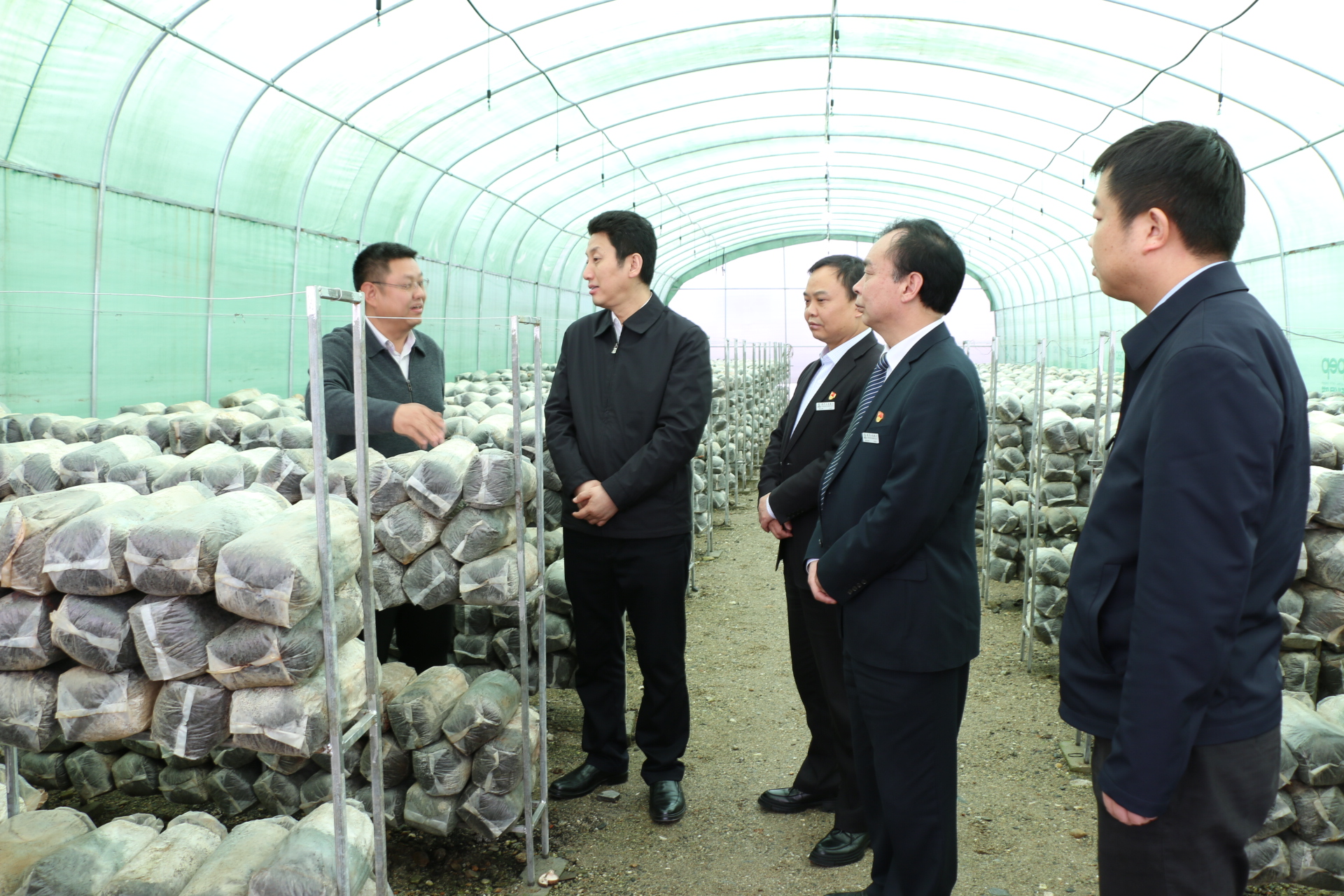 陕西信合为乡村振兴备好大礼包