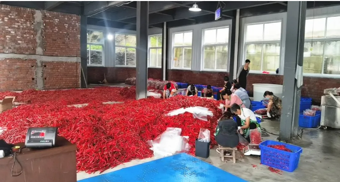 QQ图片20210830152255.png