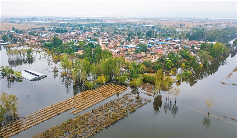 陕西大荔洪水图片