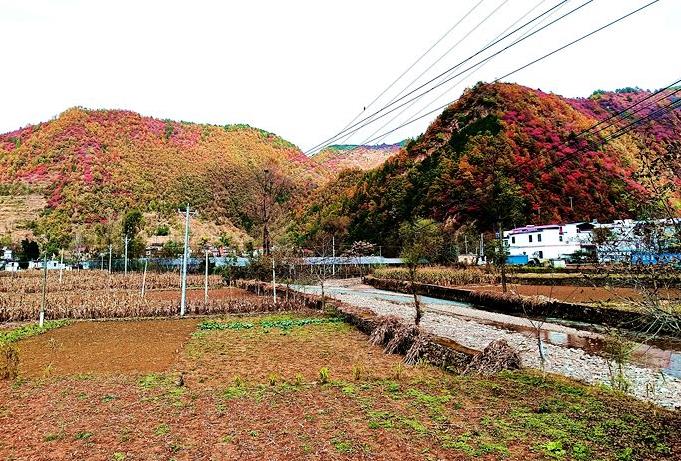 山阳县小河口镇图片