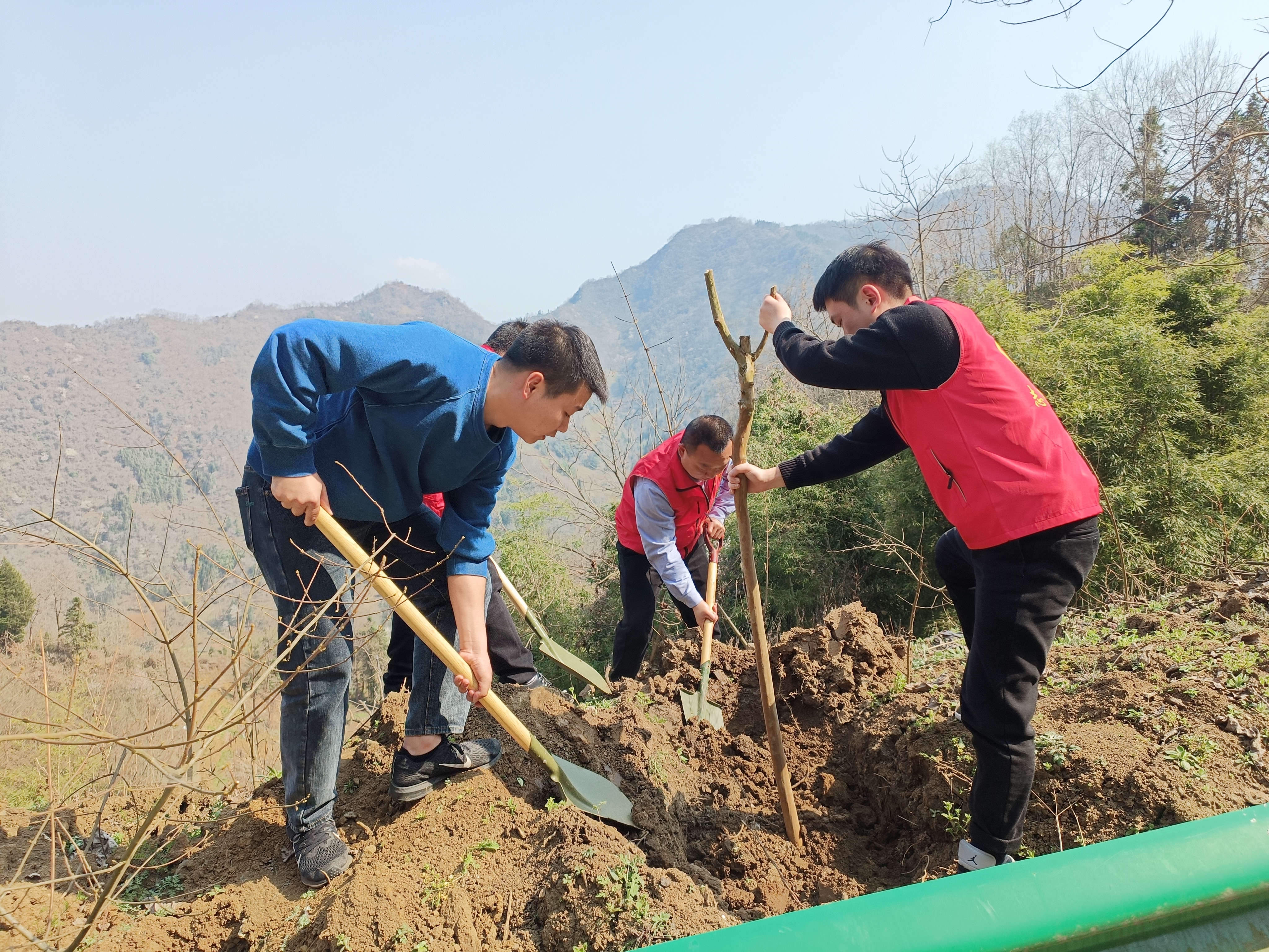 岚皋县四季镇:义务植树厚植生态底色