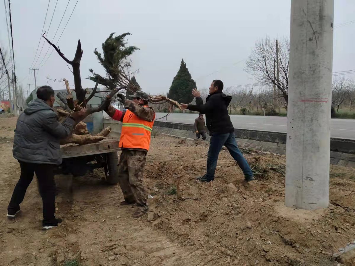 合阳县城关街道:扎实推进环境整治 扮靓提升村景颜值 合阳县城关街道:扎实推进环境整治 扮靓提升村景颜值