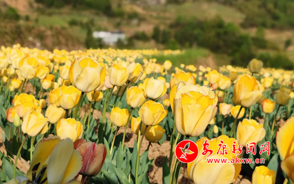 微信图片_202204081415192.png
