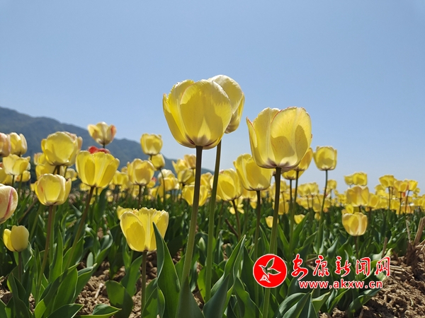 微信图片_202204081415192.jpg
