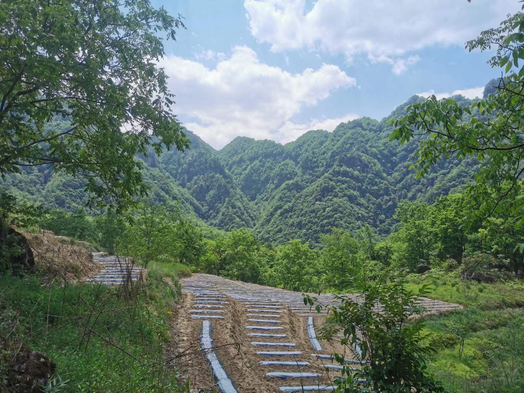 宁强县毛坝河镇景美人富歌悠扬