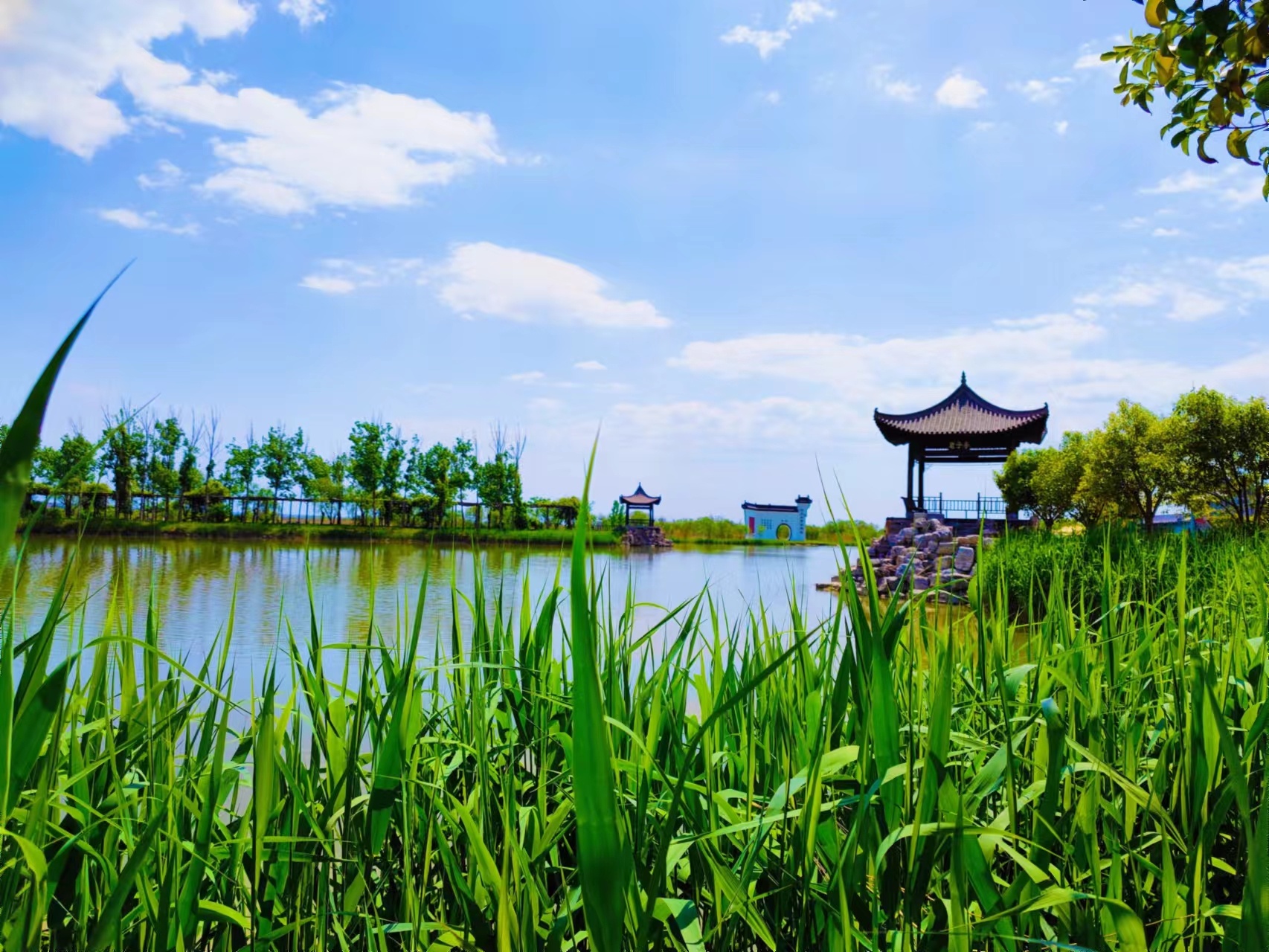 夏日的洽川(本文图片来源于陕西洽川旅游开发有限公司)