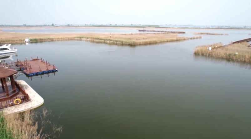 大荔县朝邑国家级湿地公园自然生态美景