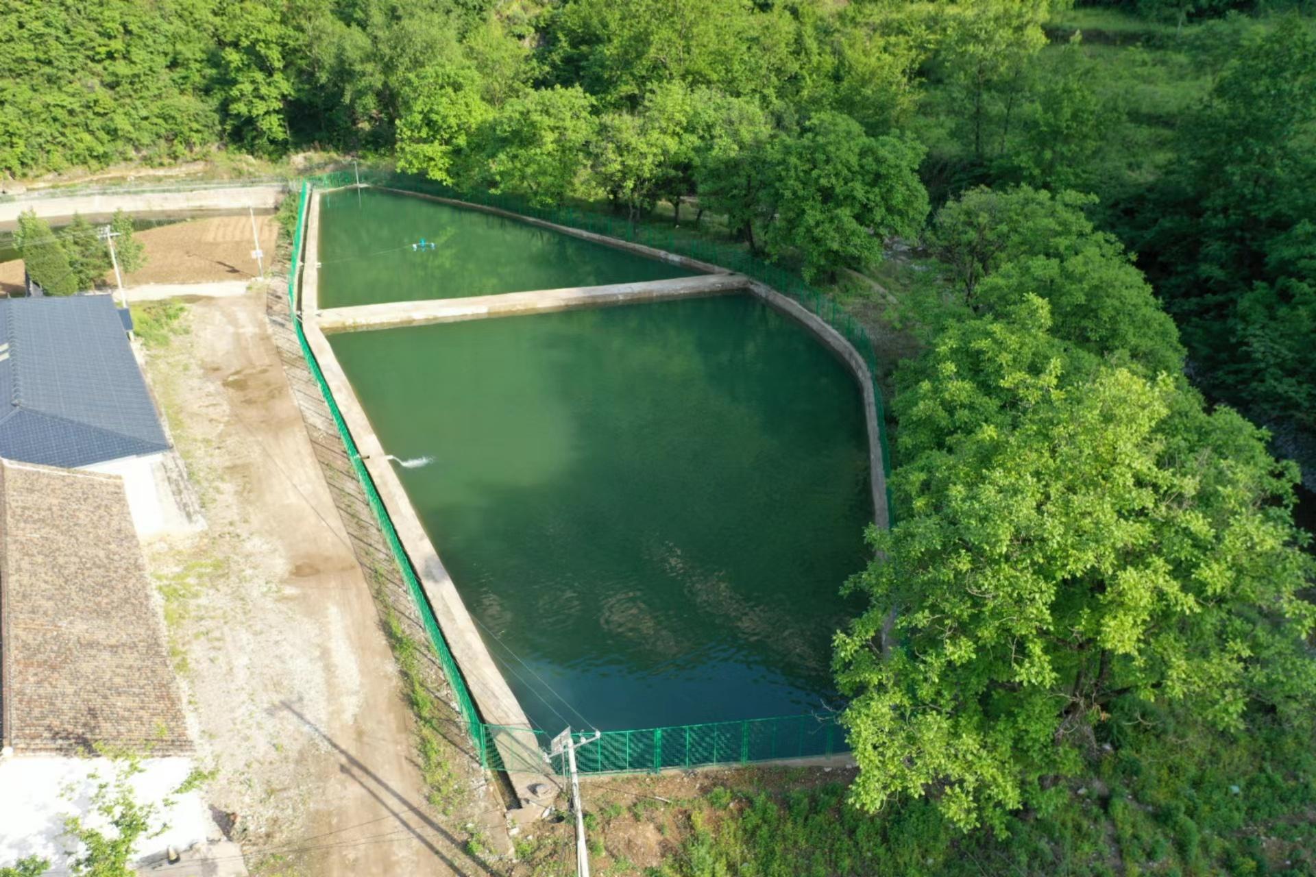 文化坪村冷水魚養殖基地 李瀟 攝