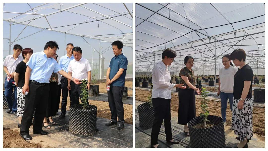 国家落叶果树脱毒中心陕西苹果专家工作站在咸阳市农科院揭牌成立