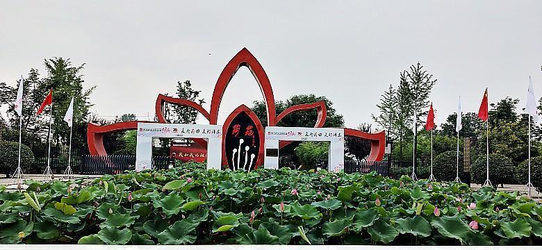 西安的周边隐藏了一个免费避暑胜地,荷苑