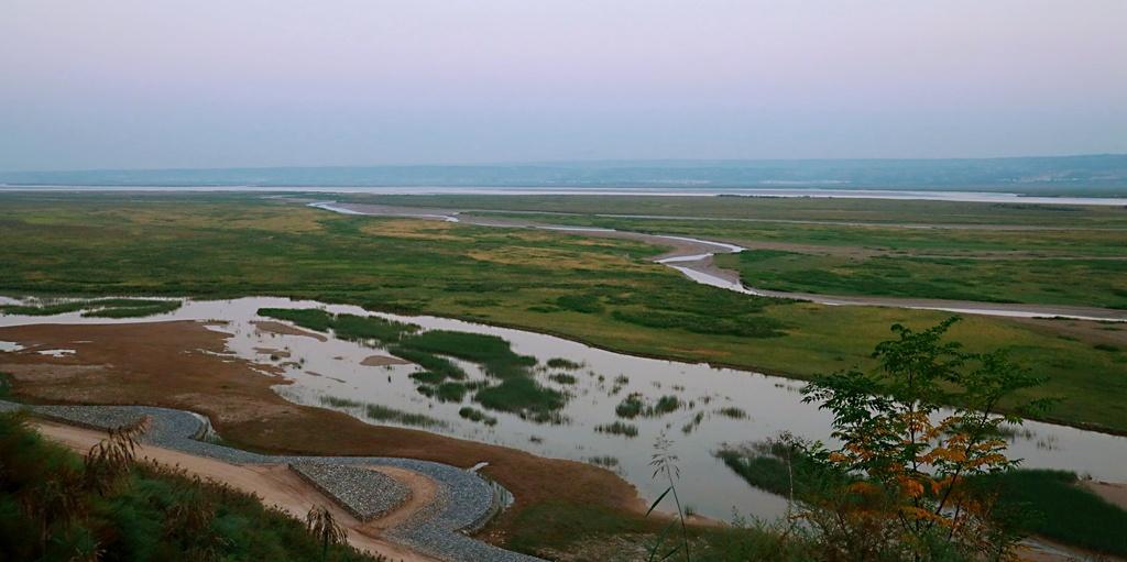 滩涂美景