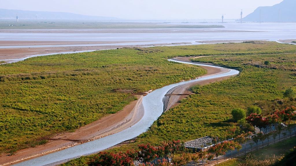 秋染湿地