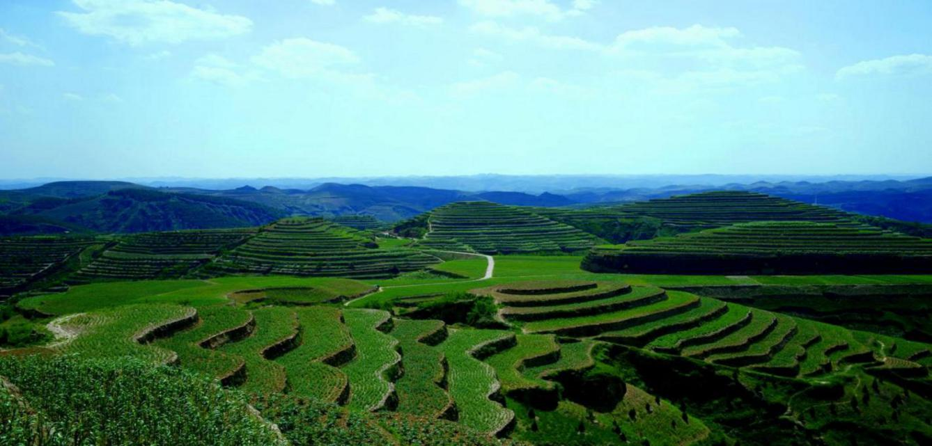 米脂县银州街道高西沟村黄土高原生态治理的一面旗帜