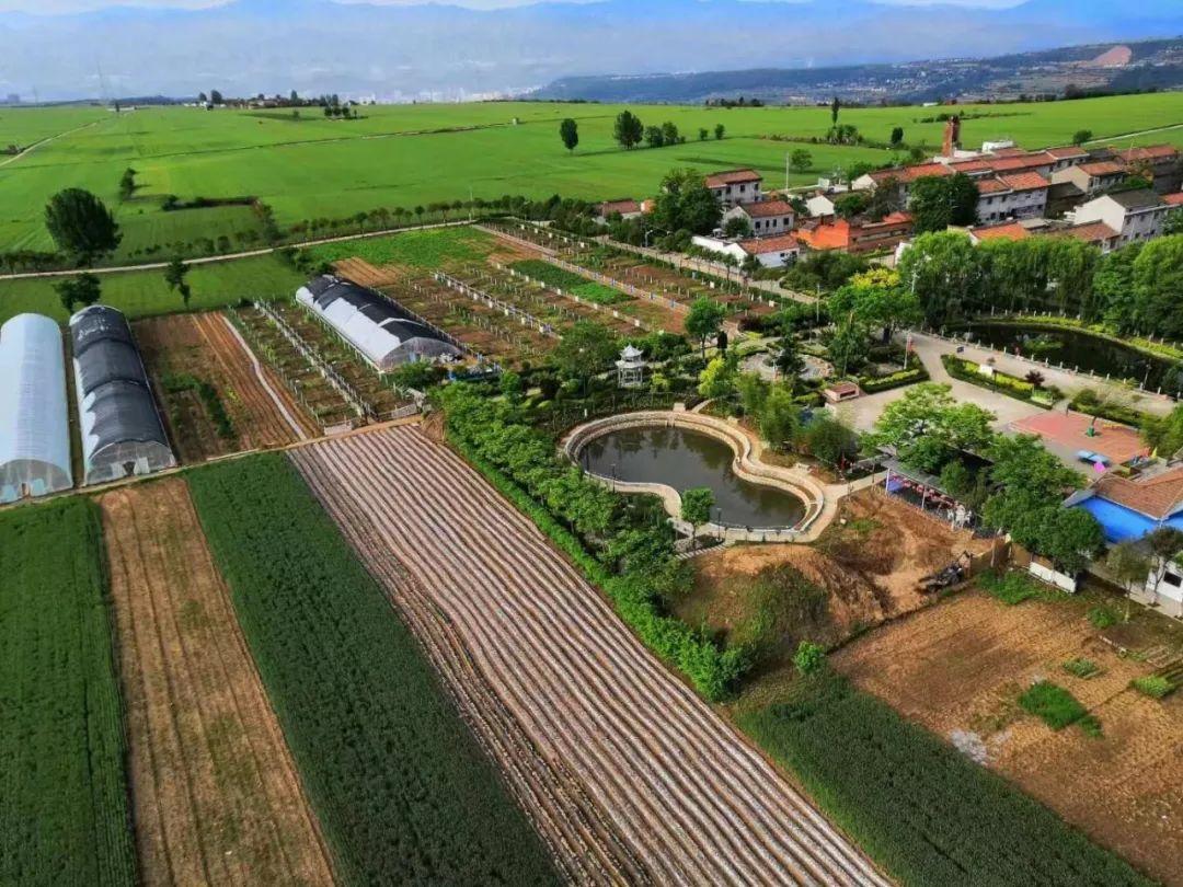 宝鸡市金台区发展高质量城郊特色农业牢守粮食安全底线