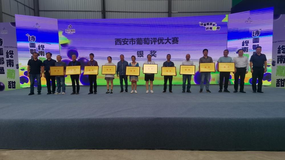 10432468_add252ea-a88a-4e4b-8e21-be9fb2573ae0.jpg