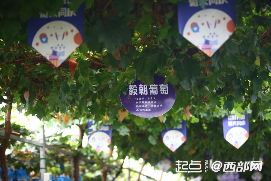 轮播图1