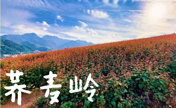 轮播图1