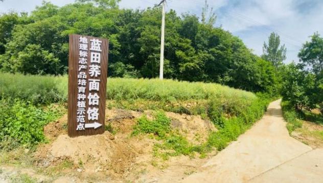 底部图片1