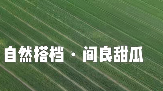 轮播图1