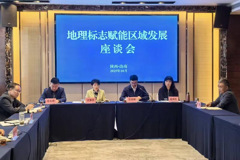 轮播图1