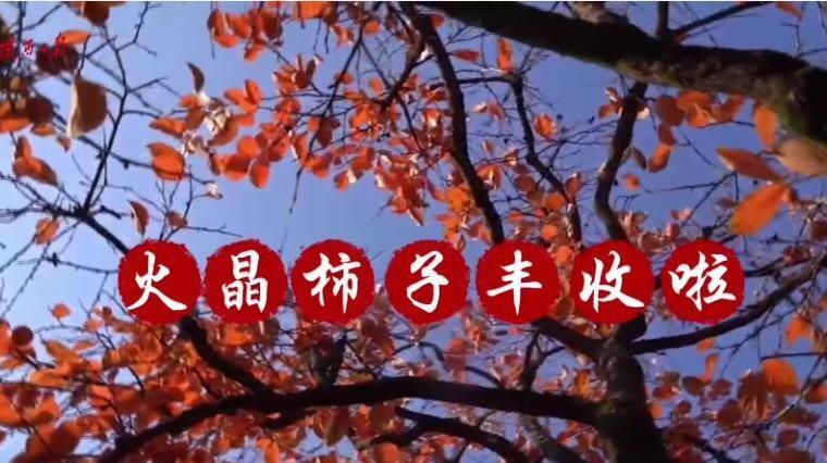 轮播图1