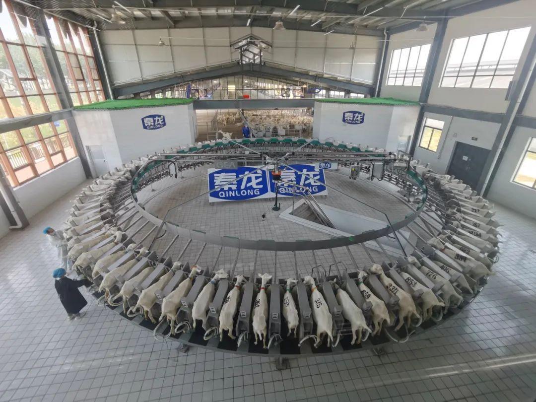 轮播图1