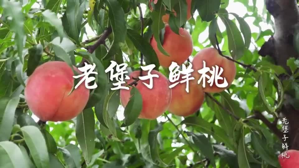 轮播图1