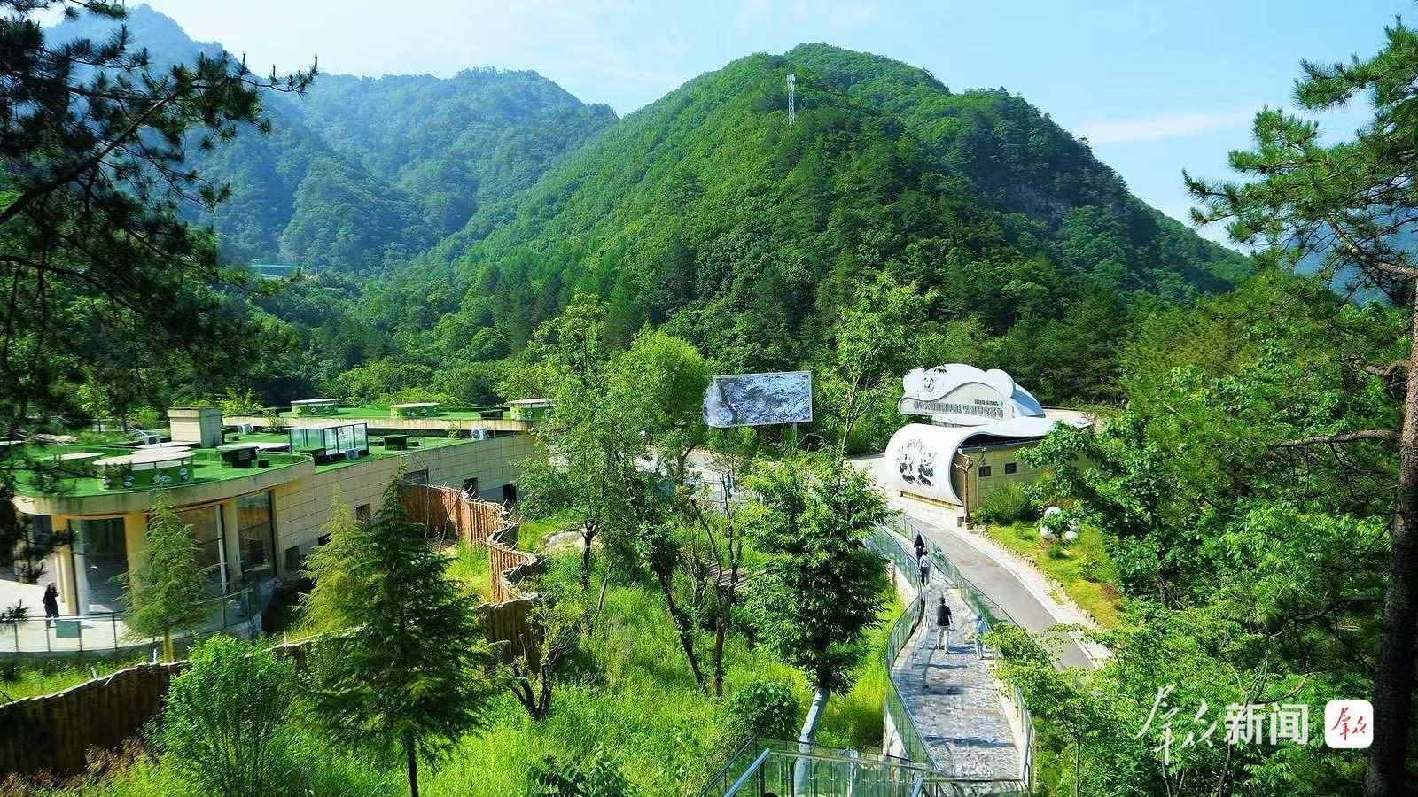 秦岭大熊猫佛坪救护繁育研究基地。