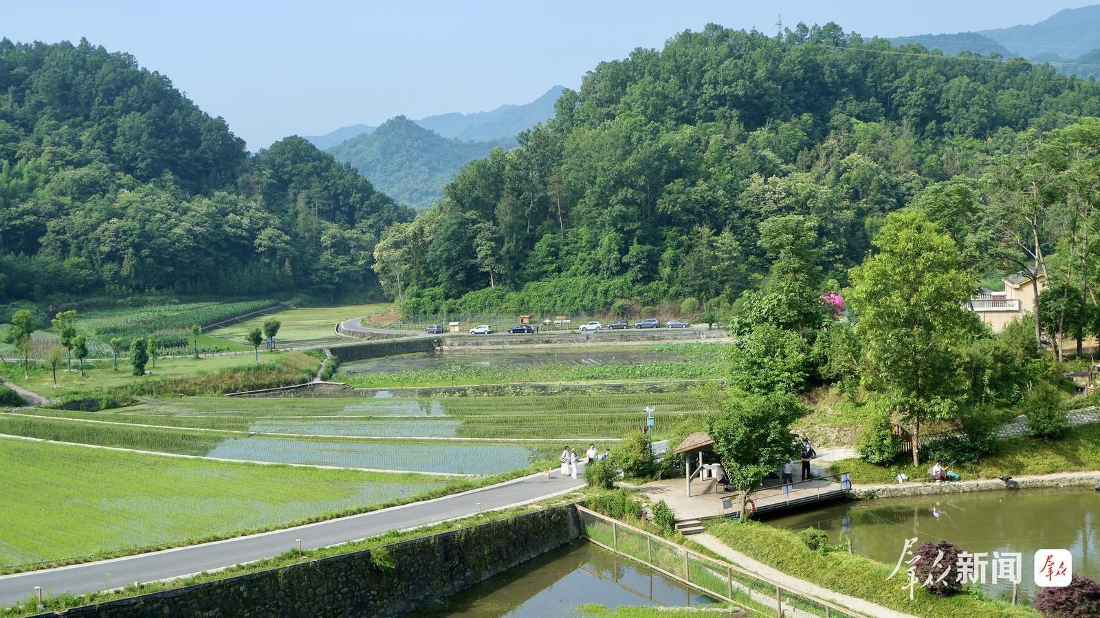 “朱鹮小村”里,田园如画。